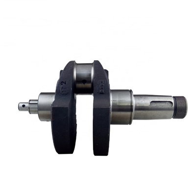 ZS195 ZS1100 ZS1105 Vilebrequin de moteur diesel
