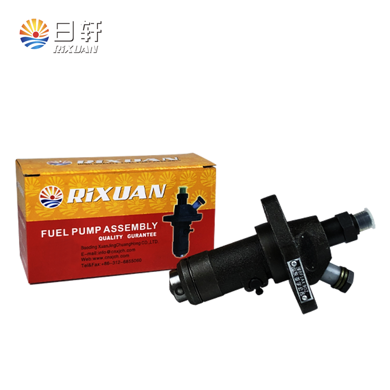 Rixuan ZS1115 Pompe d'injection
