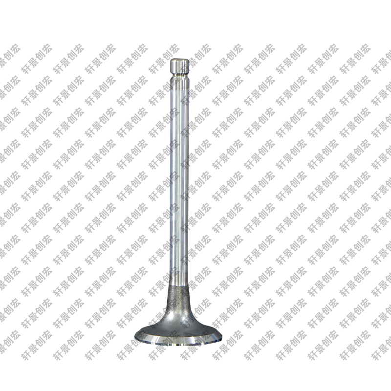 Soupape d'échappement pour moteur diesel 4 cylindres